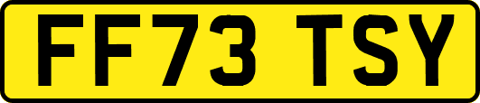 FF73TSY