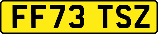 FF73TSZ