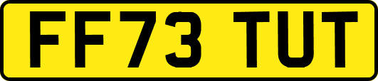 FF73TUT