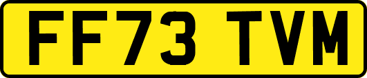 FF73TVM