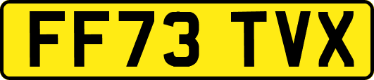 FF73TVX