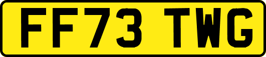 FF73TWG