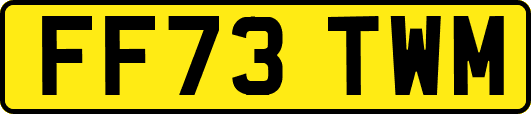 FF73TWM