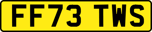 FF73TWS