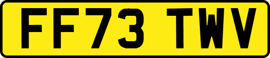 FF73TWV