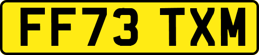 FF73TXM