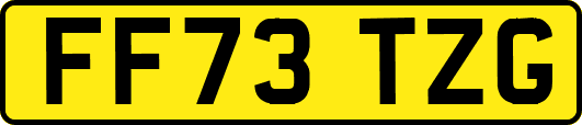 FF73TZG