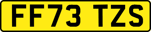 FF73TZS