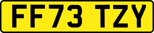 FF73TZY