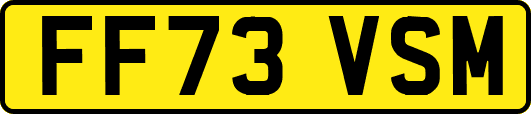FF73VSM