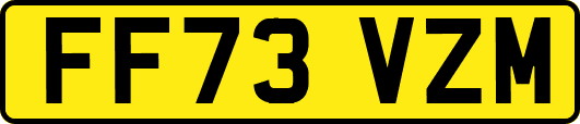 FF73VZM