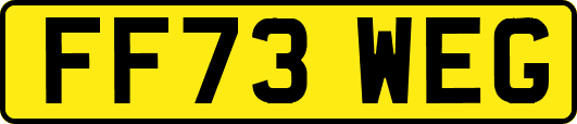 FF73WEG