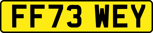 FF73WEY