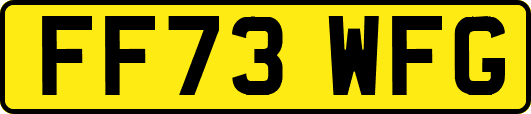 FF73WFG