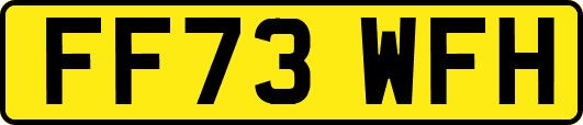 FF73WFH