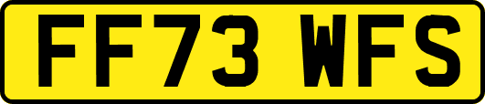 FF73WFS