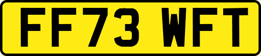 FF73WFT