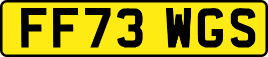 FF73WGS
