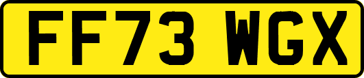 FF73WGX
