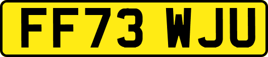 FF73WJU