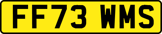 FF73WMS
