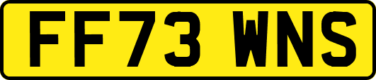 FF73WNS