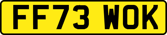 FF73WOK