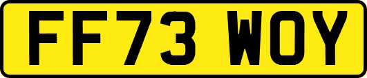 FF73WOY