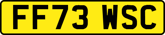 FF73WSC