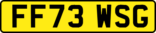 FF73WSG