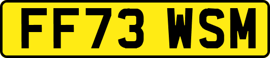 FF73WSM