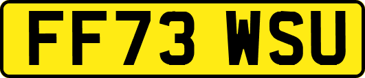 FF73WSU