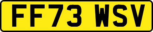 FF73WSV