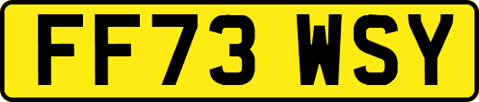 FF73WSY