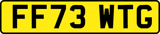 FF73WTG
