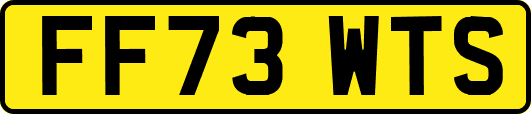 FF73WTS