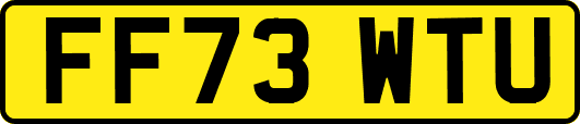 FF73WTU