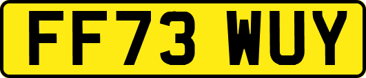 FF73WUY
