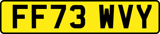FF73WVY