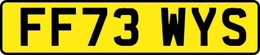 FF73WYS