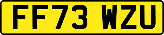 FF73WZU
