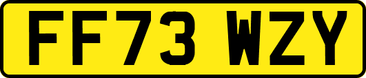 FF73WZY