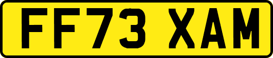 FF73XAM