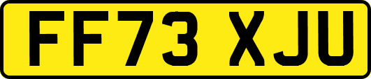 FF73XJU