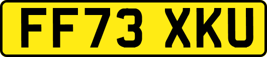 FF73XKU