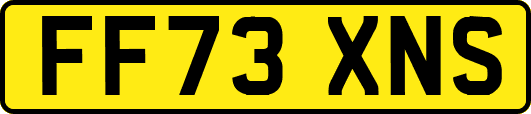 FF73XNS