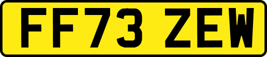 FF73ZEW