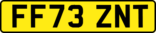 FF73ZNT