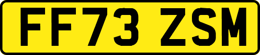 FF73ZSM