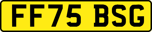 FF75BSG